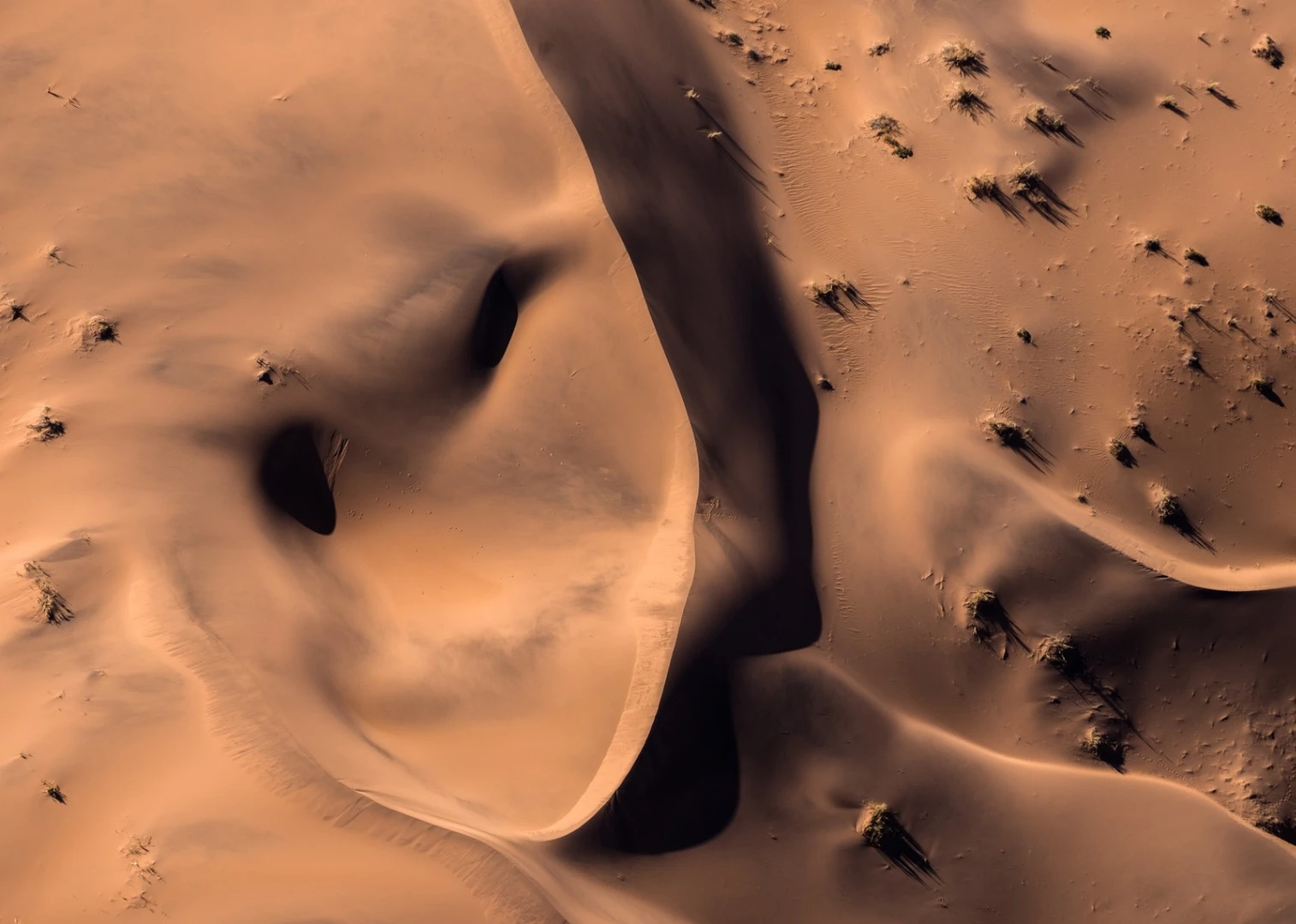 Smile. Aerial shot of Namib desert