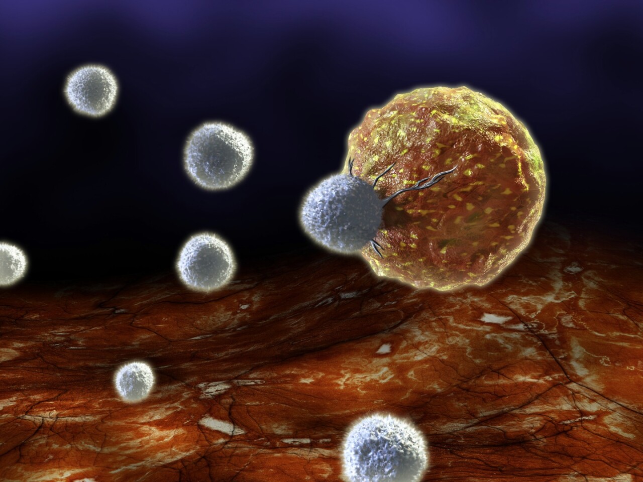Golden Hitchhikers Avoid Cancer S Defences By Riding On White Blood Cells