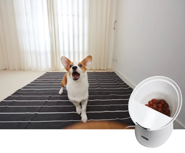 You can load the treat container up with your choice of treat