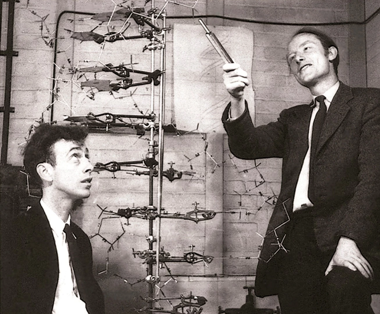 Francis Crick (above right) was a British physicist turned biologist, who along with James Watson (above left), and building upon the work of Maurice Wilkins, Rosalind Franklin and others, the pair finally decoded the structure of deoxyribonucleic acid (DNA) on Saturday, 28 February, 1953. Later that afternoon, Crick would announce to the patrons of the Eagle Pub in Cambridge (U.K.), "we have discovered the secret of life."