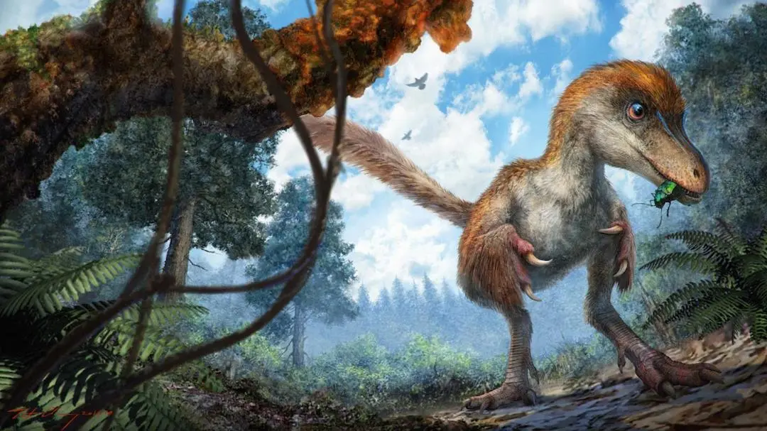 A new study is shaking up the dinosaur family tree that's stood strong for 130 years, proposing a shuffle that would better reflect how dinosaurs and their descendants evolved