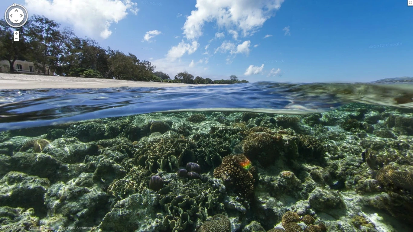 Google recently unveiled some new underwater locations for Google Maps, where users can explore panoramic views of ocean life and coral reefs from around the world using Street View