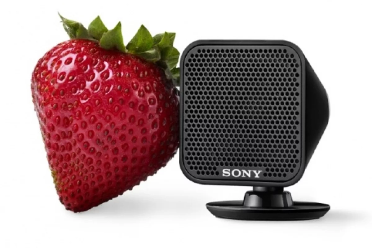 Sony HT-IS100 BRAVIA Theatre Micro System