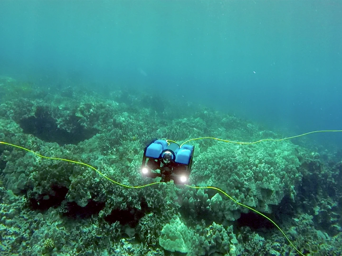 The BlueROV2's built-in LED spotlights help illuminate the murky depths