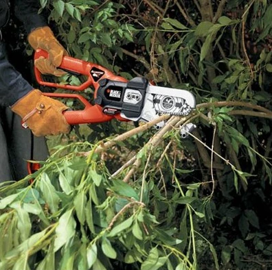 The Black & Decker Alligator Lopper LP1000