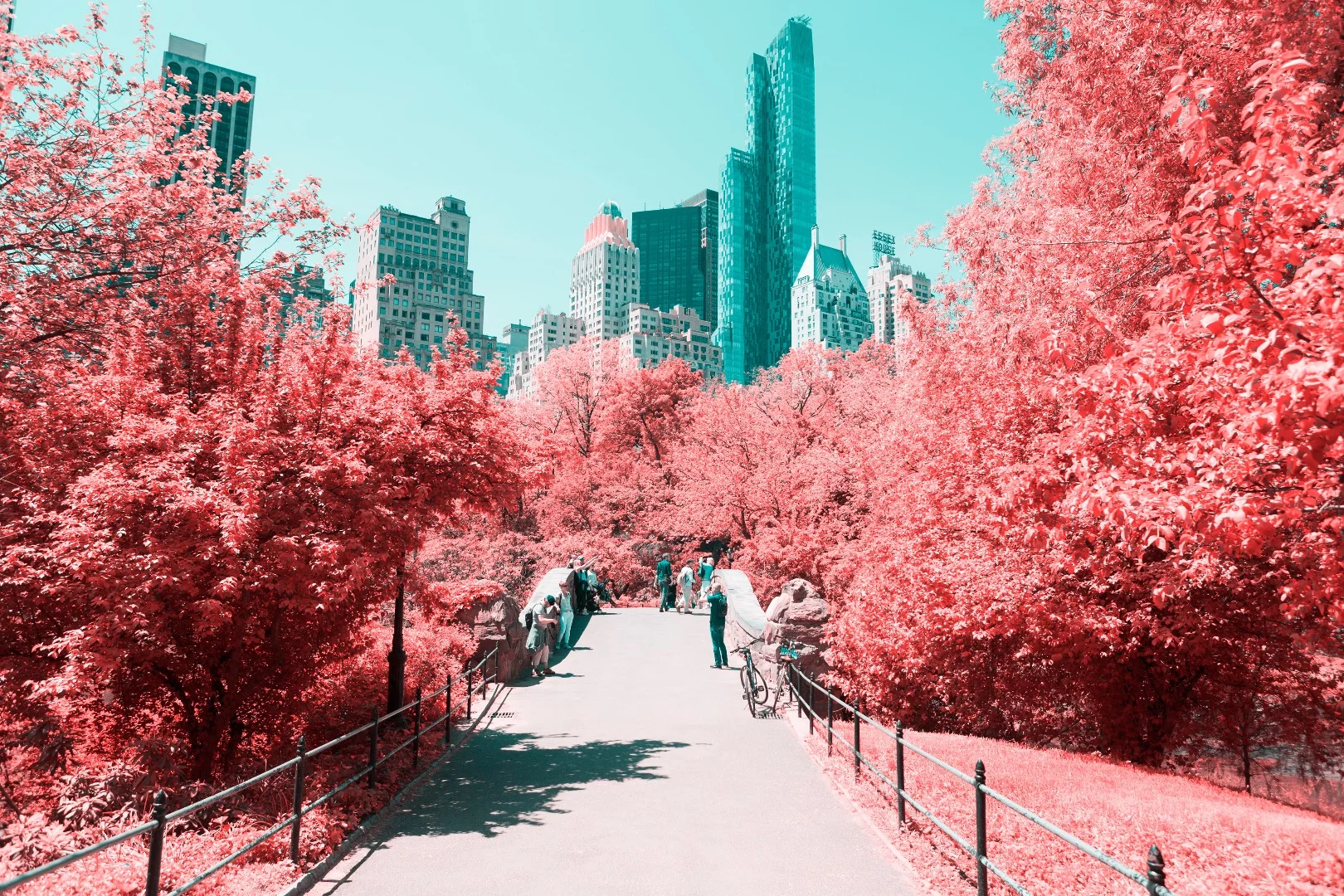 Paolo Pettigiani's series Infrared NYC is a glorious examination of New York's Central Park that uses infrared filters to transform the greenery into a pink and red wonderland