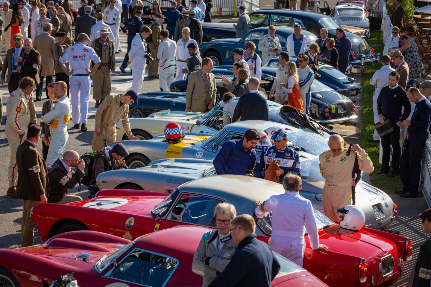 The paddock at Goodwood Revival looked more like a concours event than a race paddock