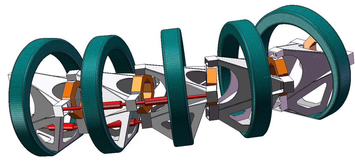 A rendering of Titanoboa's "musculoskeletal" system