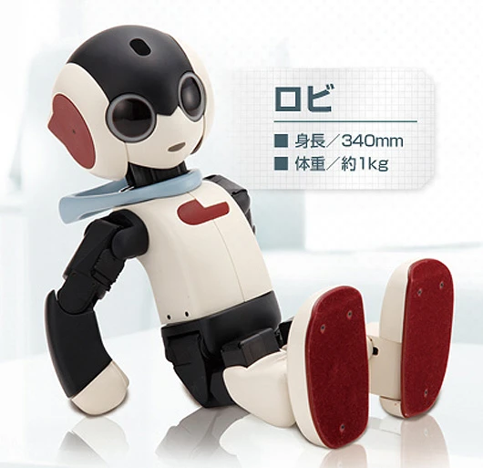 Robi stands just 1'1" (34 cm) tall and weighs 2.2 pounds (1 kg) and has 20 points of articulation