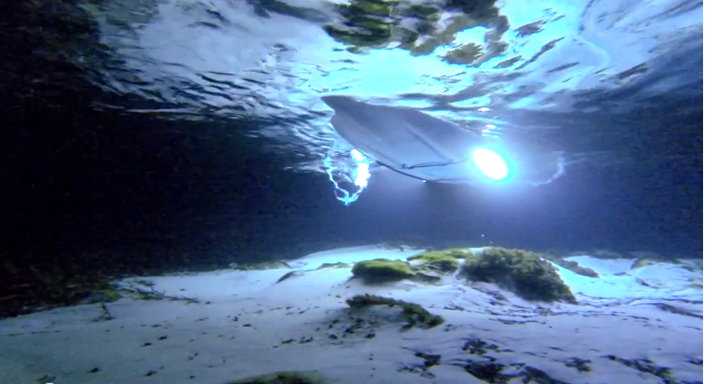 The two light bars provide 2,000 lumens of light