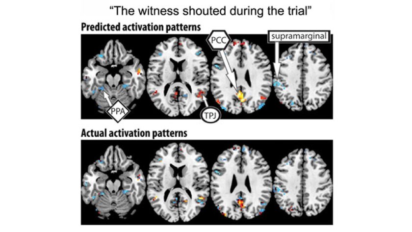 After being trained on 239 sentences and their accompanying brain activation patterns, the algorithm was able to accurately predict the activation pattern of the last sentence