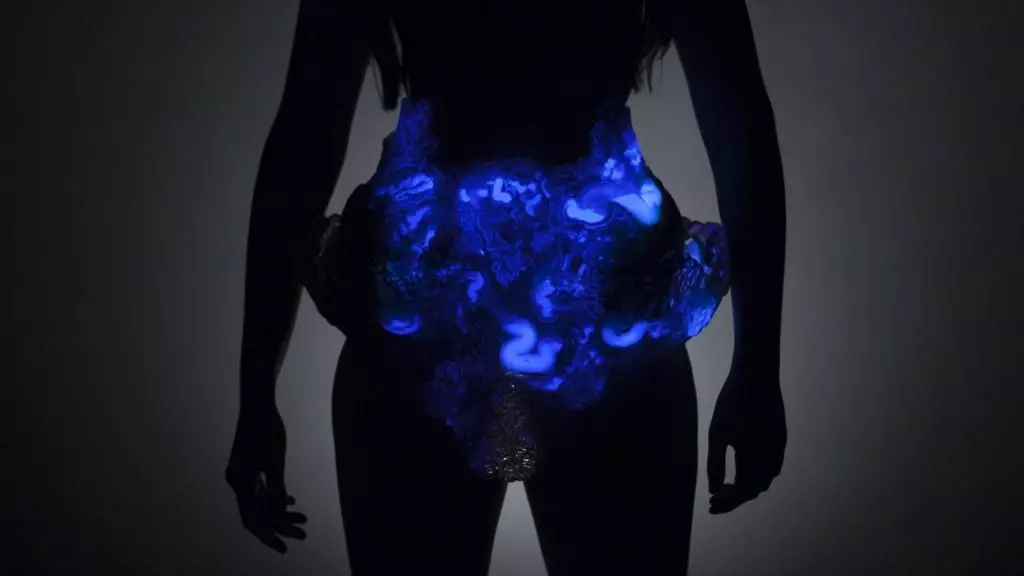 Mushtari is filled with living bacteria designed to fluoresce and produce sugars or bio-fuel when exposed to light