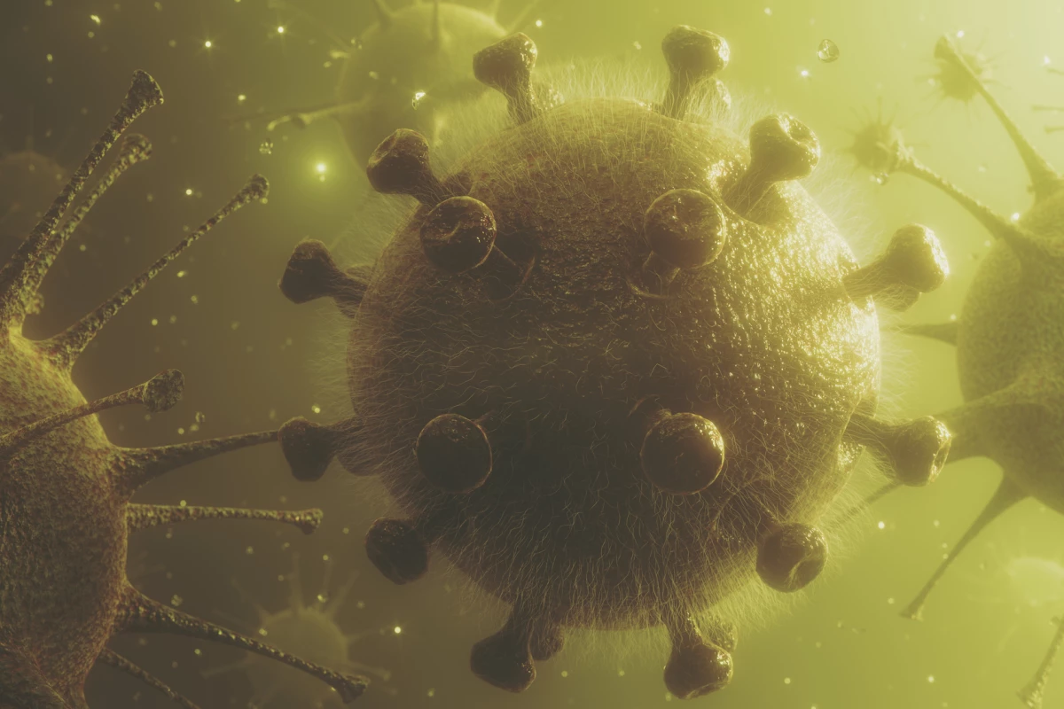 New research studied nearly 2,000 patients six months after they were hospitalized with COVID-19