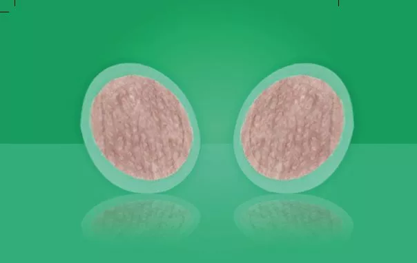 First Defense Nasal Screens filter out airborne allergens and droplets, and are applied around the rim of each nostril