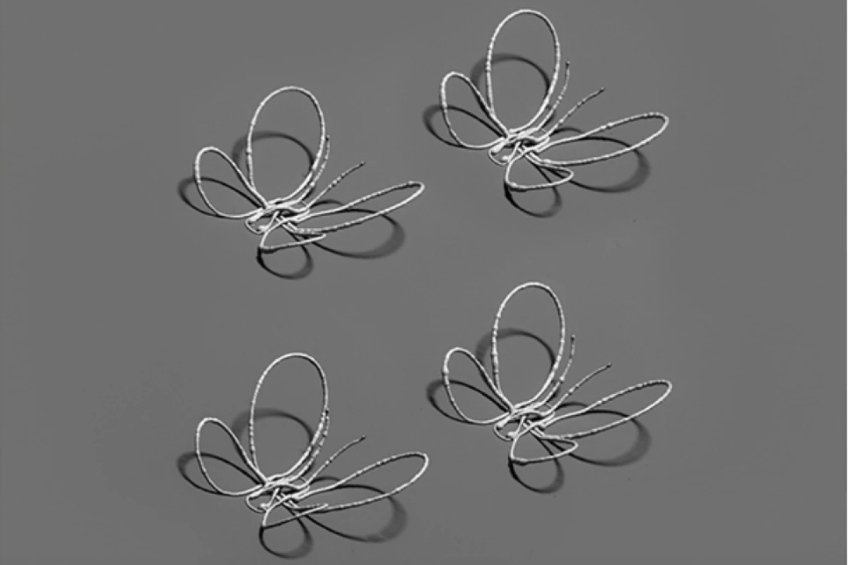 Butterflies printed using the new technology
