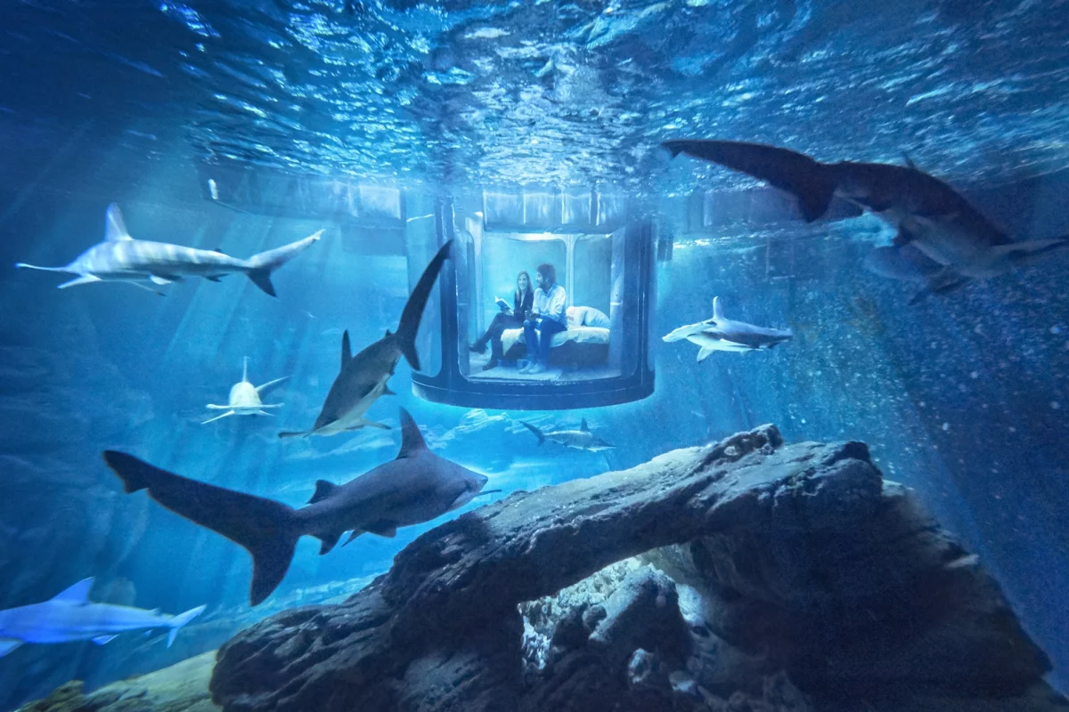 The underwater bedroom is located at France's Aquarium de Paris