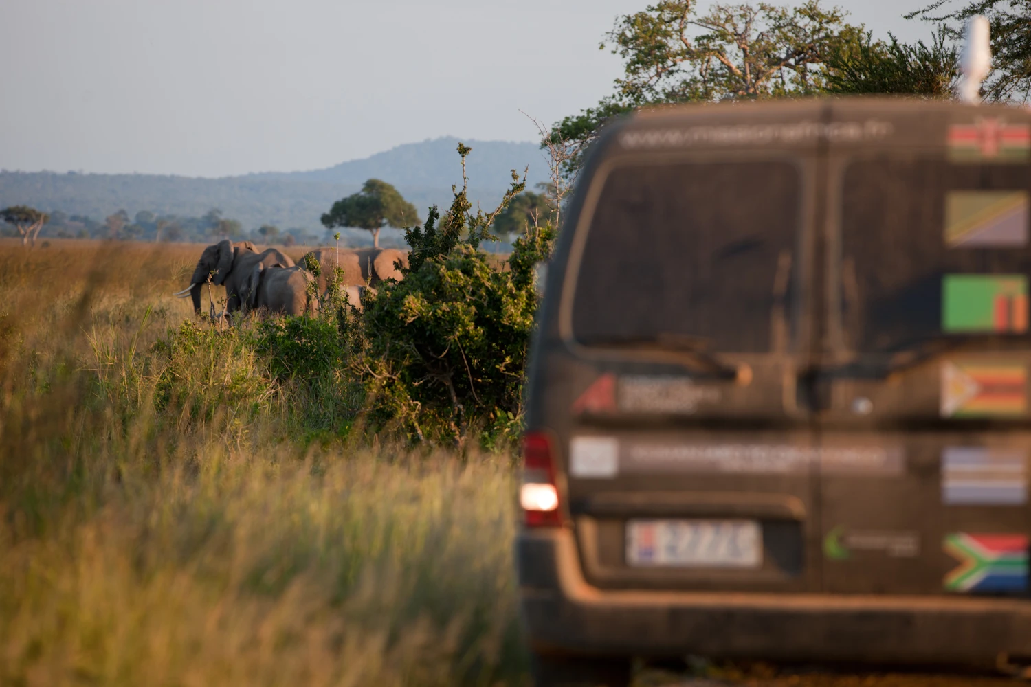 An elephant never forgets - at Mikumi National Park