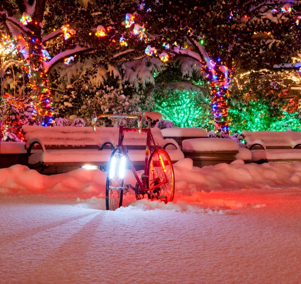 best light for cycling at night