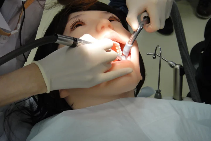 Robotic dental patient Showa Hanako 2 (Photo: DigInfo)