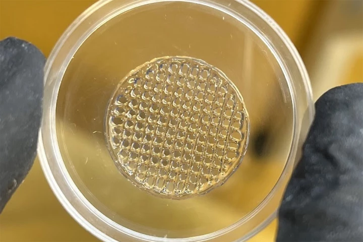 A small 3D-printed structure made of optimized hydrogel, which could soon be used as a skin imitation to test cosmetics