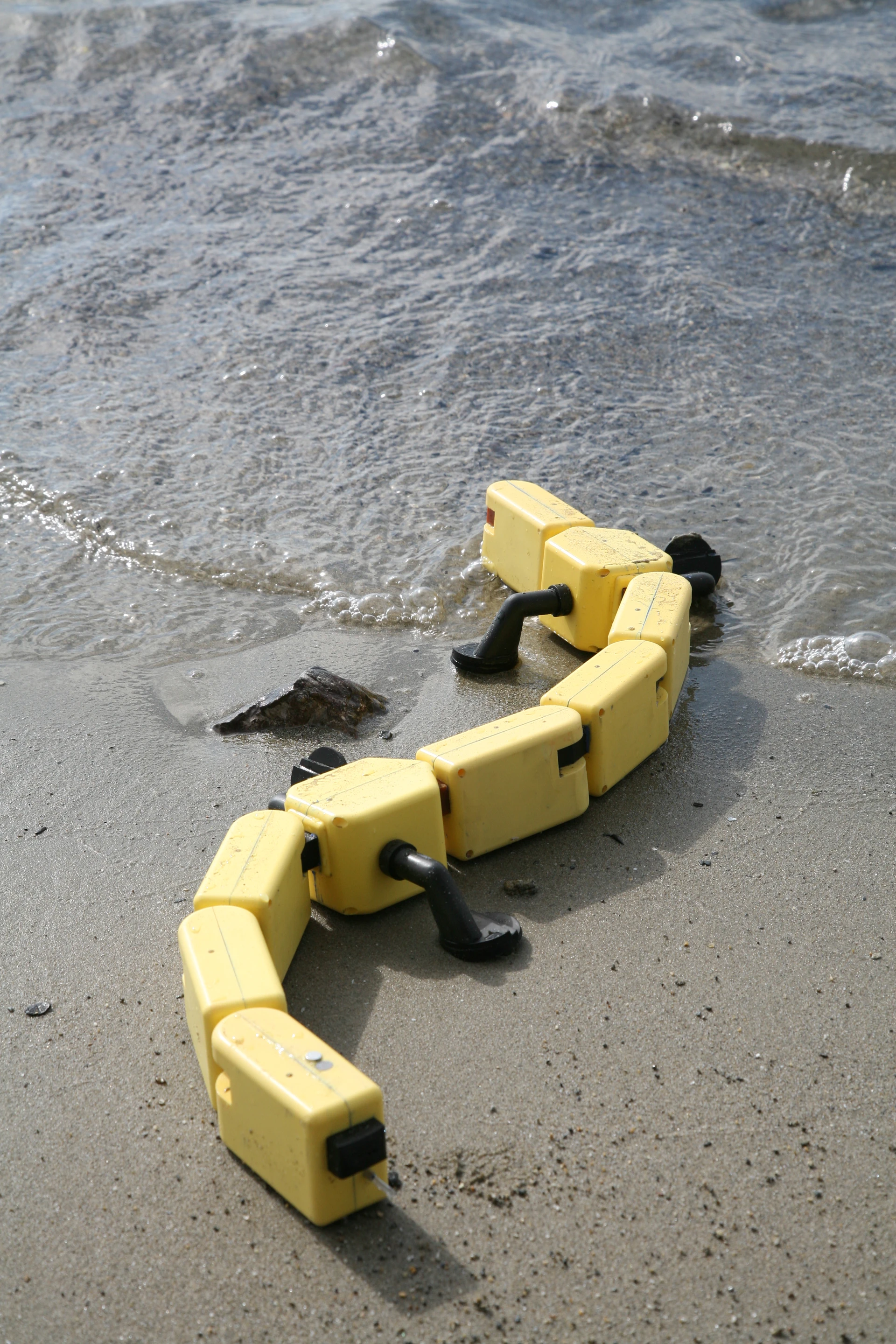 The Salamandra robotica is the first robot that's equally capable of swimming like a fish, crawling like a snake, and walking like a lizard (Photo Credit: A. Herzog, Biorobotics Laboratory, EPFL)