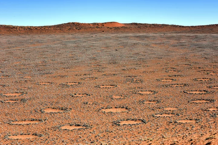 Researchers at Princeton have solved the mystery of how "fairy circles" are formed in the Namib Desert