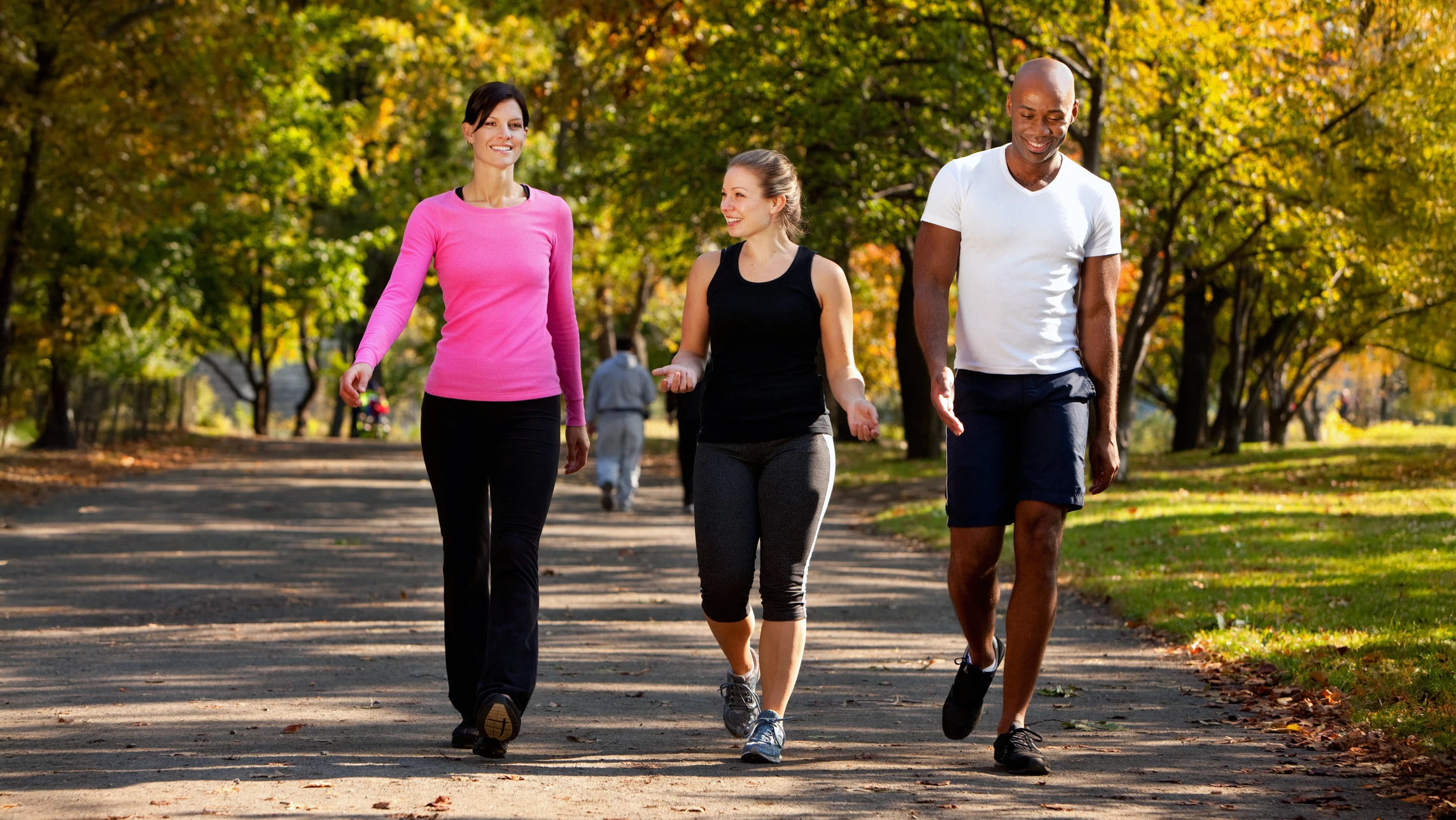 The risk of chronic low back pain can be reduced by walking daily