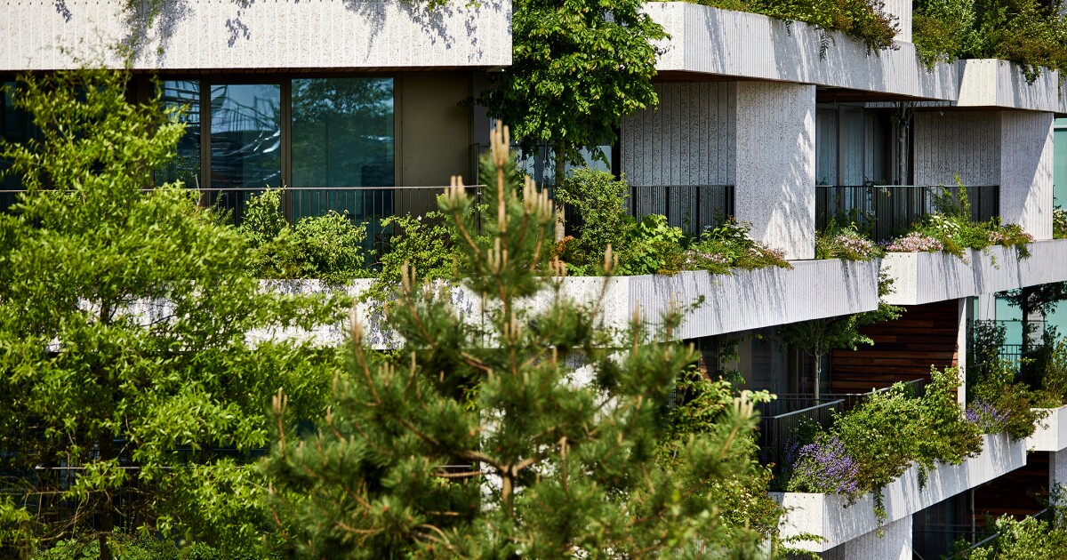 Vertical Forest tower hosts over 50,000 plants on its exterior