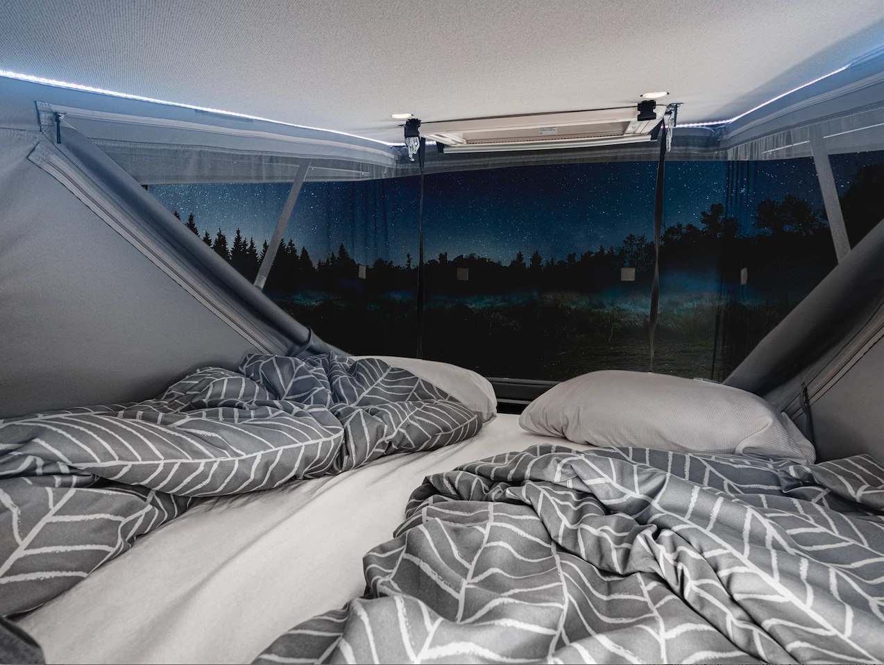 Enjoy a panoramic view of the star-filled night sky