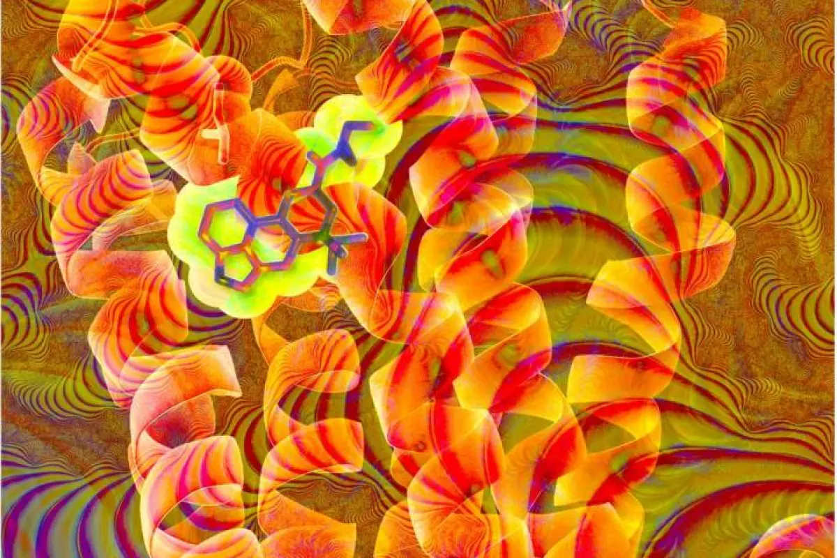Artist's impression of the chemical structure of LSD (highlighted in yellow) interlocking into a red-orange ribbon diagram of the serotonin receptor