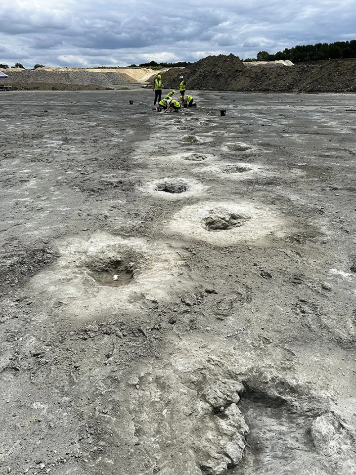 One of the trackways of footprints found at the dig site measured nearly 500 ft in length