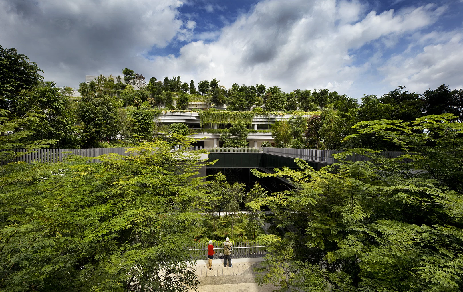 The Kampung Admiralty has an incredible amount of greenery