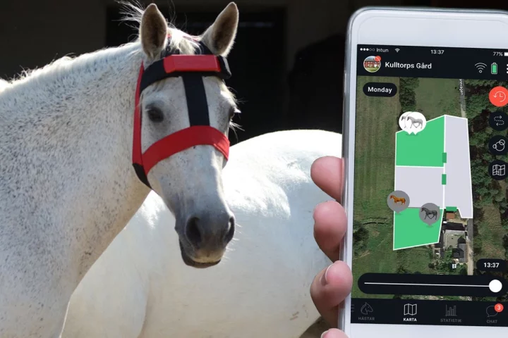 The HoofStep head unit communicates with an app on the user's phone