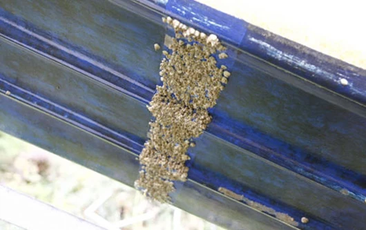 The hull of a boat that was painted with a coating containing macrocyclic lactones, with the exception of the stripe down the middle