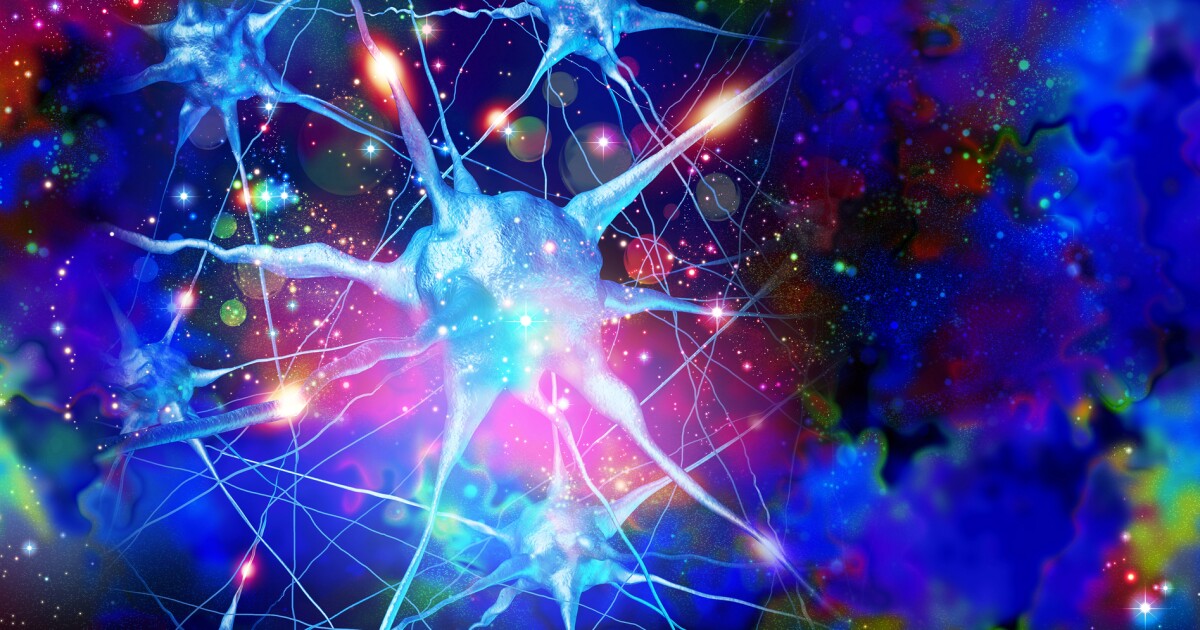 DMT shows promise in reducing stroke damage in animals DMT shows promise in reducing stroke damage in animals