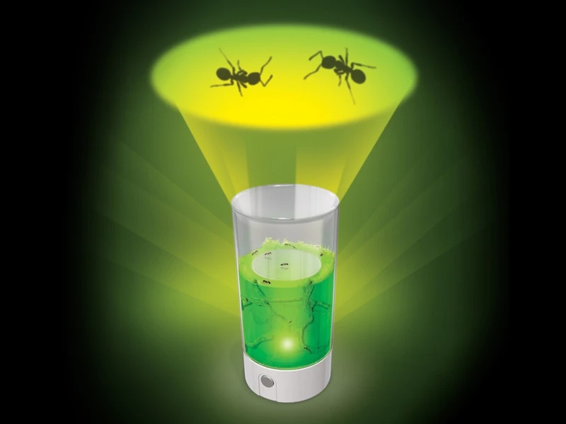 Ant Farm Revolution contains an LED lamp, which allows users to project images of the ants onto their ceiling