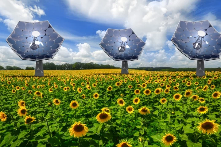 Equipped with an array of multi-junction photovoltaic chips, each of the IBM "sunflowers" can supply the energy needs of several homes (Image: Airlight Energy/dsolar)