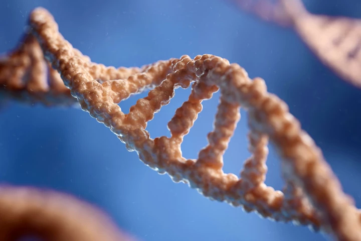 Using gene-editing tech, researchers have identified "junk" proteins that could lead to next-gen obesity drugs