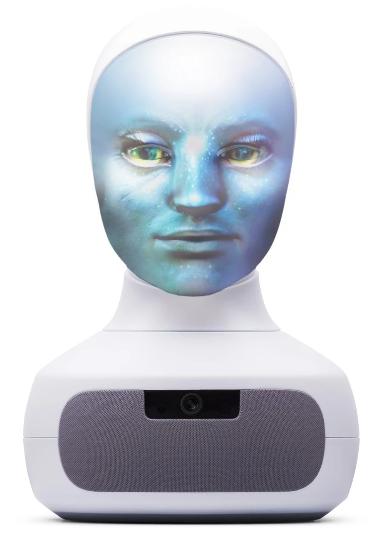 It's suggested that a variety of unconventional faces can be programmed into the system