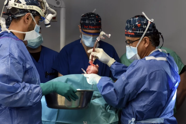 Surgeons performed the groundbreaking transplant on September 20