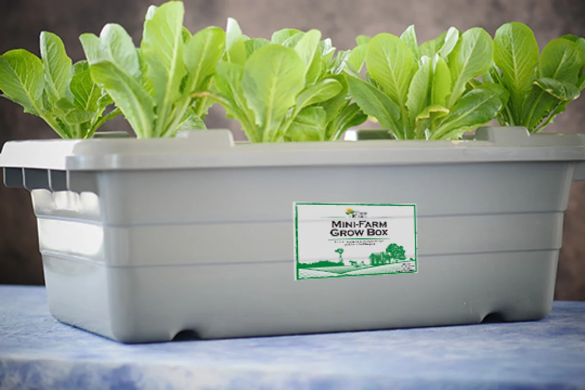 The Mini--Farm Grow Box from Food Rising (Photo: Food Rising)