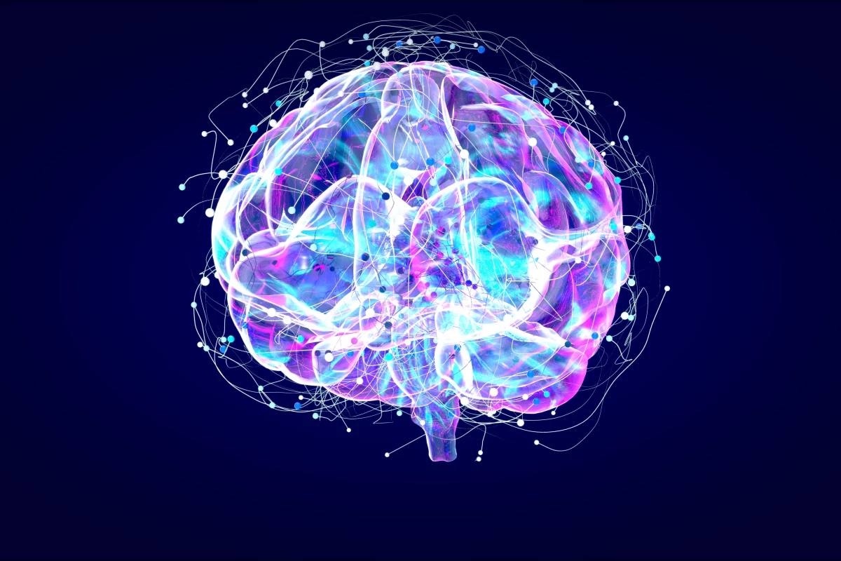 Brain xray, human anatomy, 3D Illustrated neurons