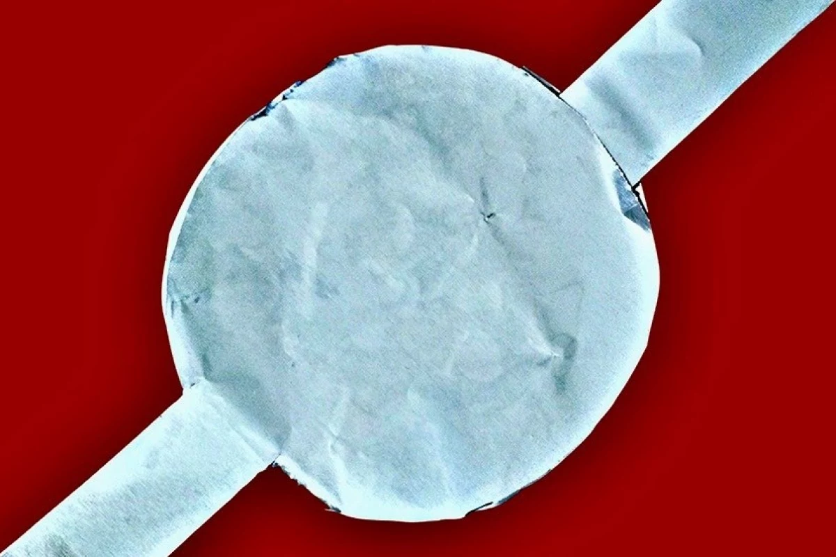 A prototype of the plant-based supercapacitor developed at Texas A&M University