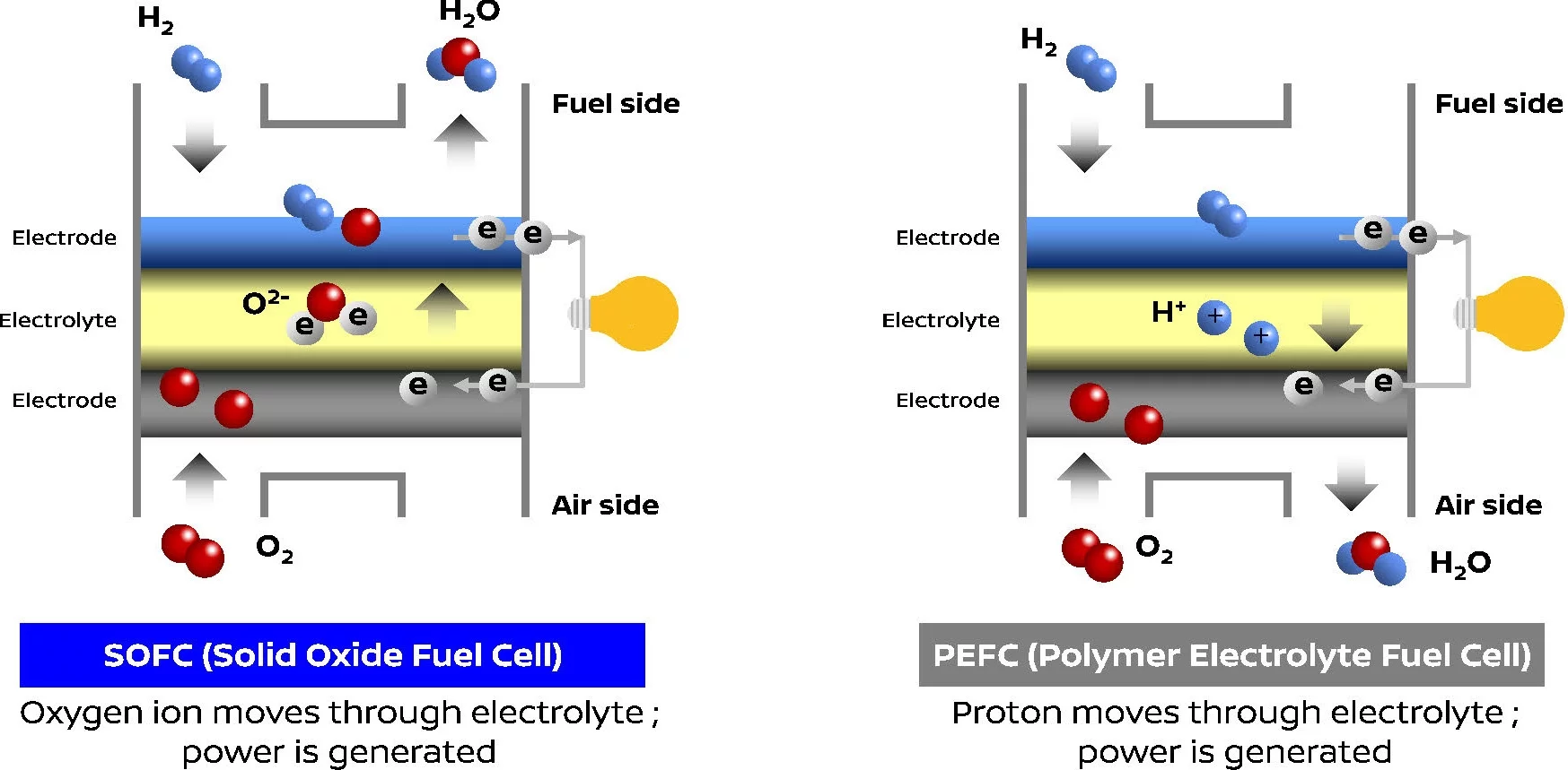 A look at the chemistry inside the biofuel system