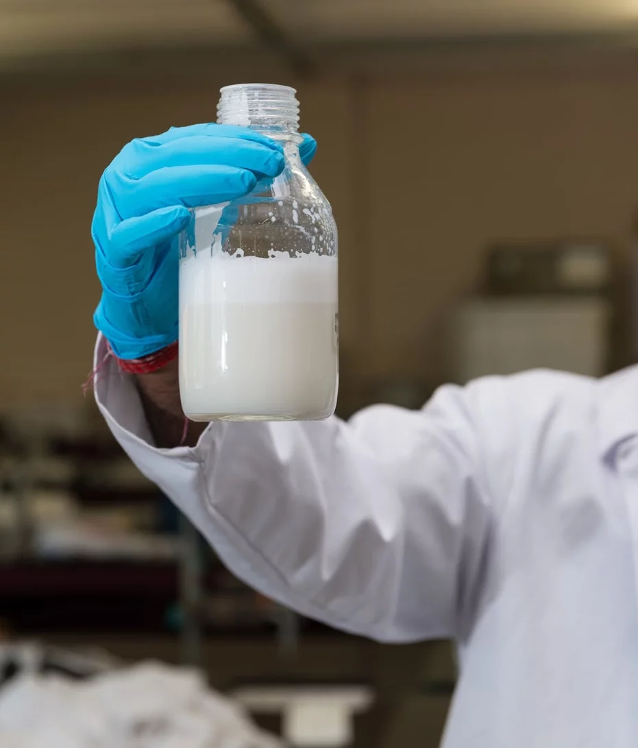 While the goal is to produce a product as good, if not better, than milk, as well as cheaper, Muufri may initially cost twice the amount of cow milk