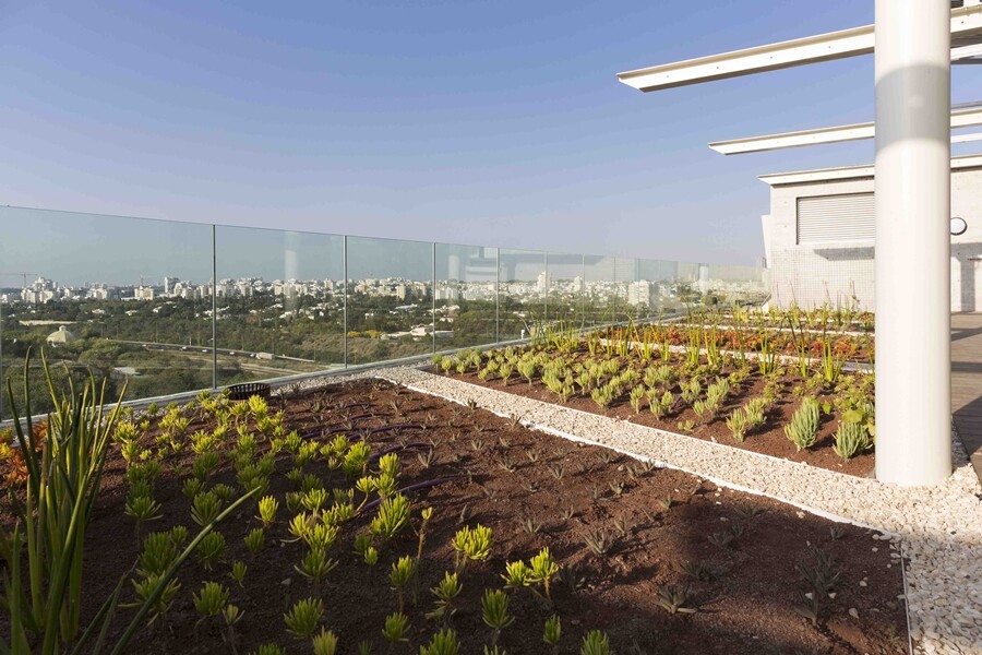 The PSES building has a green roof (Photo: Shai Epstein)