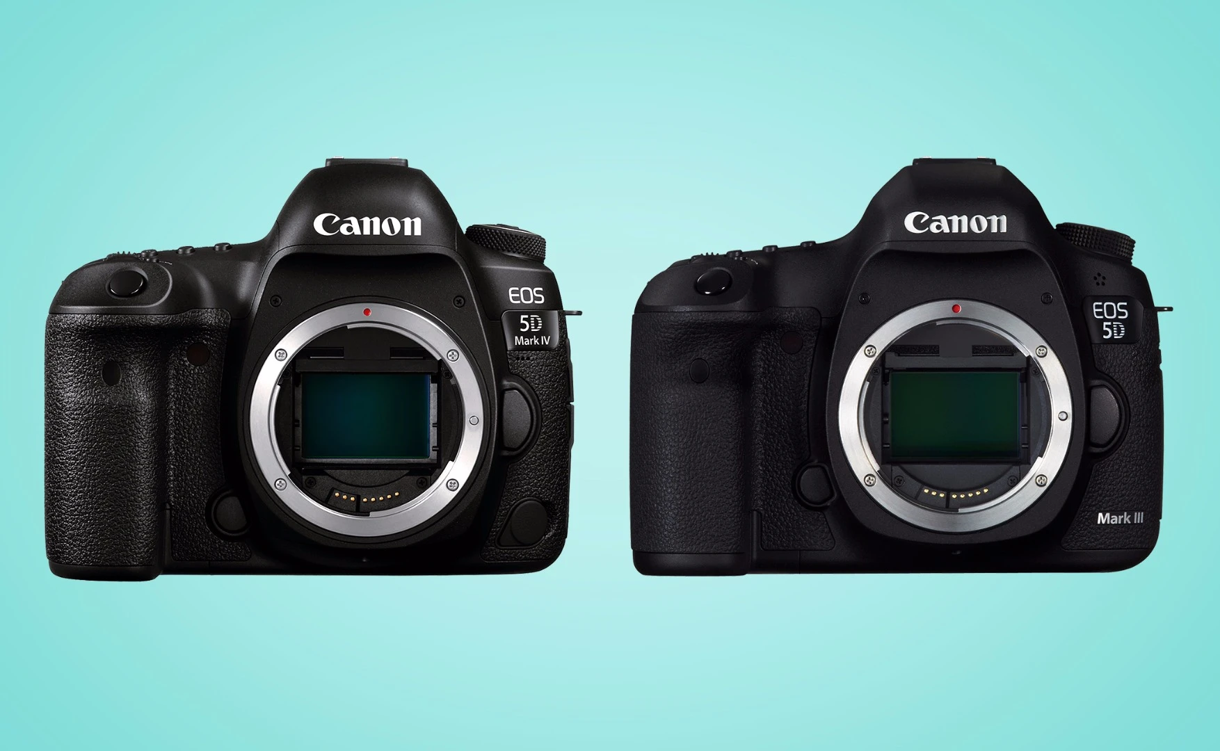 A side-by-side look at the Canon EOS 5D Mark IV and 5D Mark III