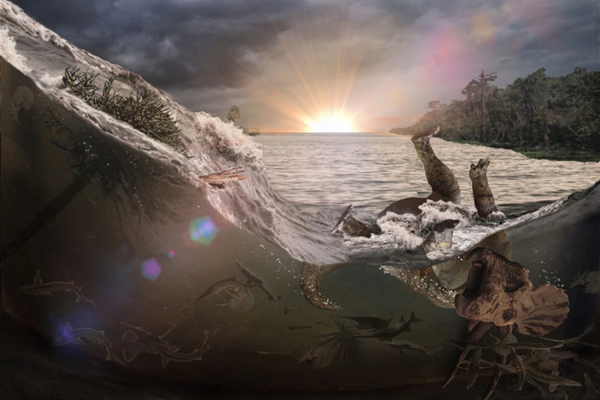 A meteor impact 66 million years ago generated a tsunami-like wave in an inland sea that killed and buried fish, mammals, insects and a dinosaur, the first victims of Earth’s last mass extinction event