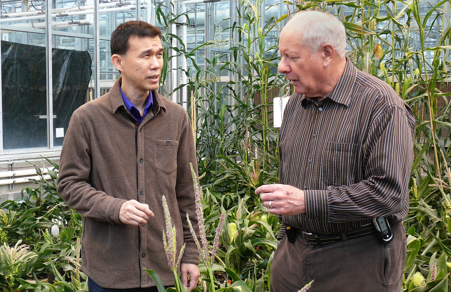 Researchers Yang Yang, left, and Cary Mitchell (Photo: Purdue University)