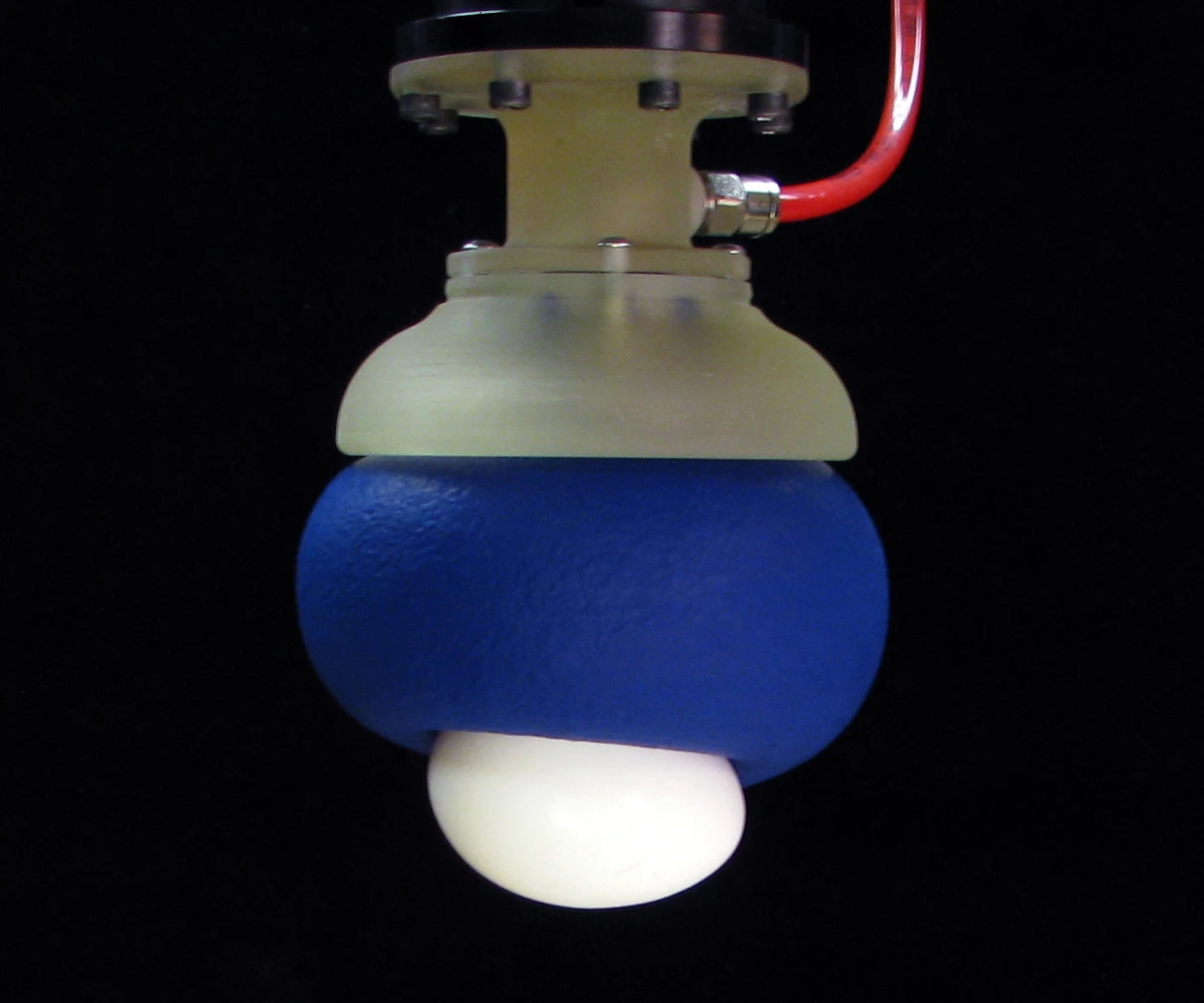 The universal gripper can grip an egg without breaking it (Image: John Amend, Cornell University)